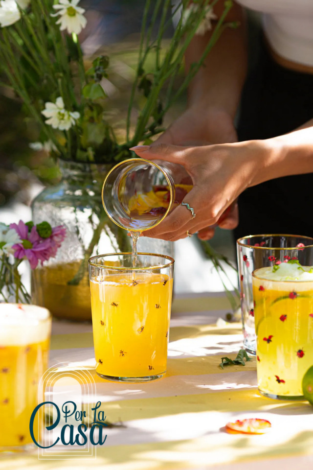 Lady Bird Uğur Böceği Desenli Karaf Sürahi 1150 cc