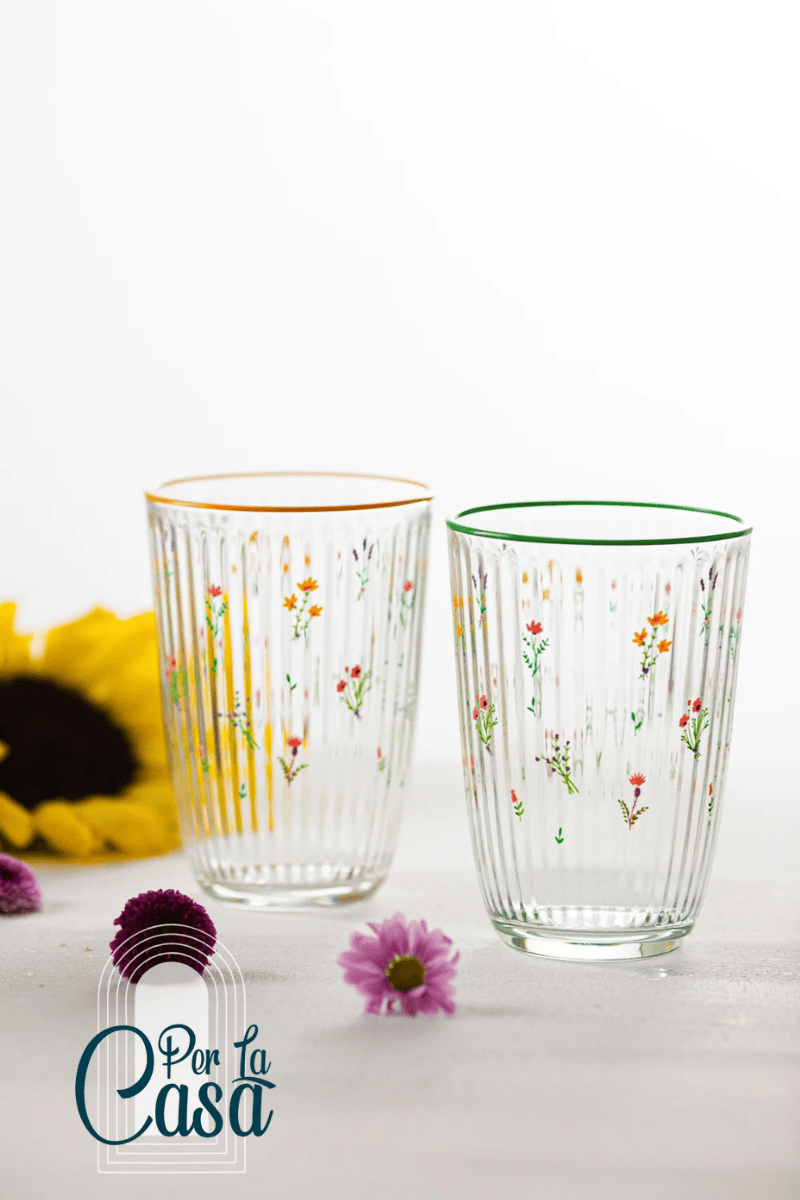 Botanic 4'lü Meşrubat Bardak Set