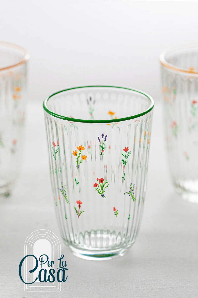 Botanic 4'lü Meşrubat Bardak Set