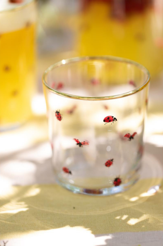 Lady Bird 4lü Su Bardağı Seti